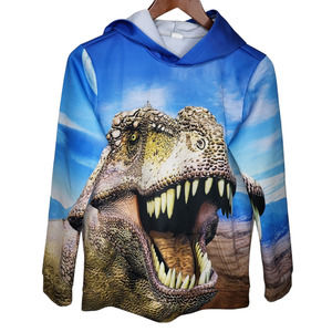 Youth XL Dinosaur Print Hoodie